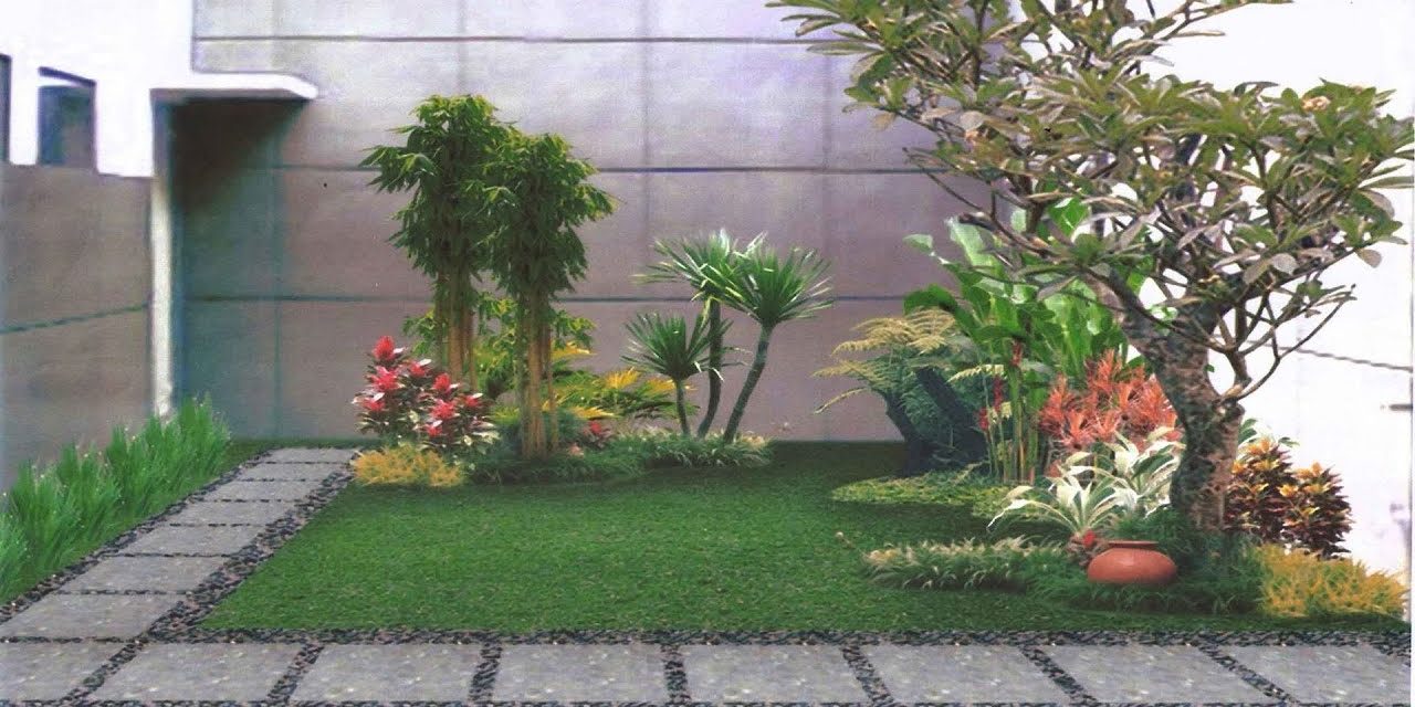 Daftar Tanaman Pohon Tahan Sinar Matahari Untuk Teras Sempit