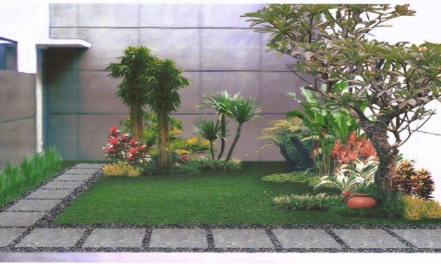 Daftar Tanaman Pohon Tahan Sinar Matahari Untuk Teras Sempit