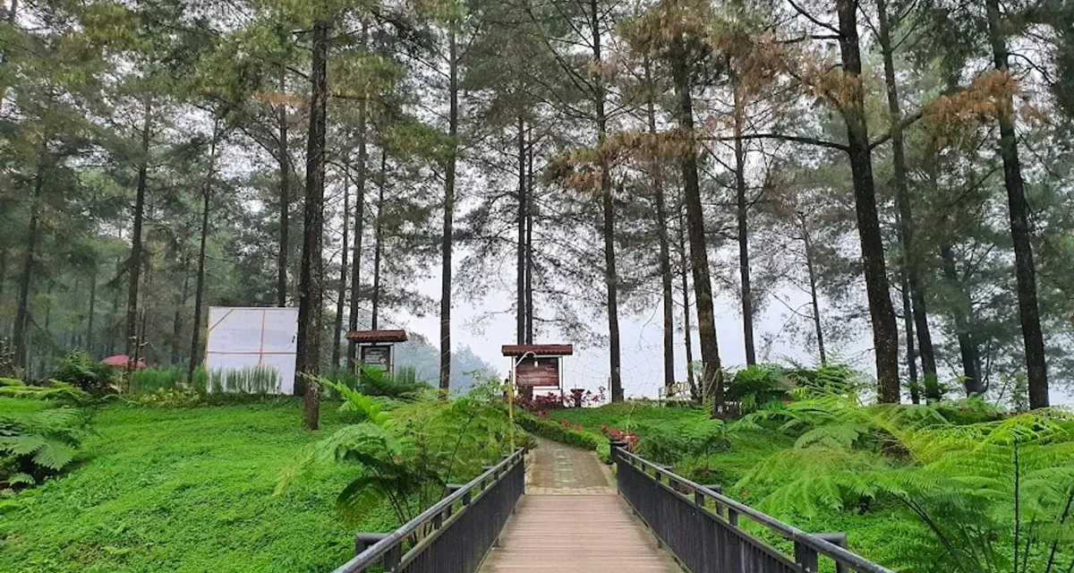 Saatnya Healing! Ini 10 Tempat Terbaik Di Jawa Tengah