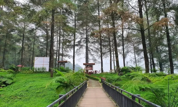 Saatnya Healing! Ini 10 Tempat Terbaik Di Jawa Tengah