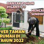 Taman Depan Rumah Anti Gerah: Solusi Bikin Rumah Lebih Dingin
