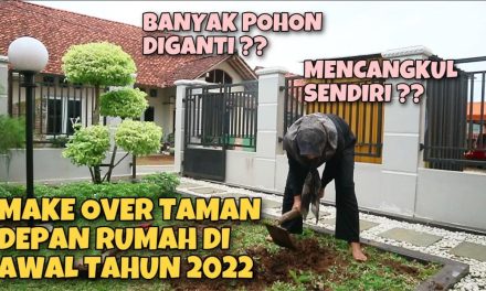 Taman Depan Rumah Anti Gerah: Solusi Bikin Rumah Lebih Dingin