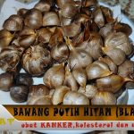 Tips Membuat Black Garlic Agar Tidak Kering Dan Keras