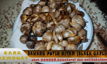 Tips Membuat Black Garlic Agar Tidak Kering Dan Keras