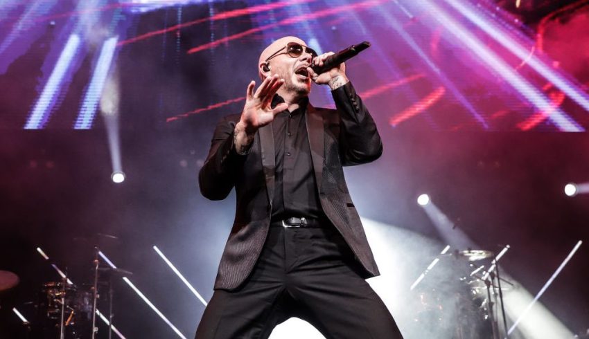 Penyanyi Rapper Pitbull Pemusik Dari Amerika Serikat