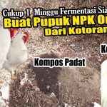 Cara Buat Pupuk Kandang Dari Kotoran Ayam, Ini Tutorialnya