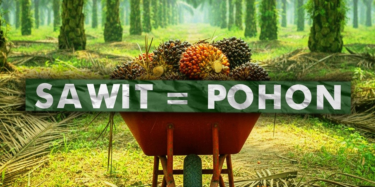 Sawit Indonesia Tancap Gas, Lolos Standar Keberlanjutan Dunia