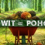 Sawit Indonesia Tancap Gas, Lolos Standar Keberlanjutan Dunia