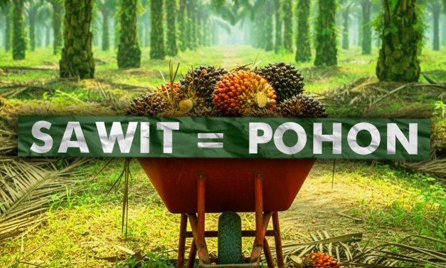 Sawit Indonesia Tancap Gas, Lolos Standar Keberlanjutan Dunia