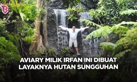 Dehakim Aviary Salah Satu Bentuk Upaya Konservasi Lingkungan